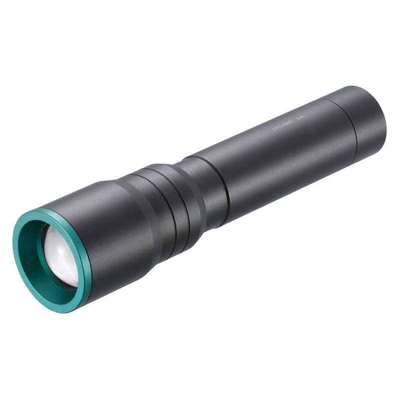 オーム電機 OHM 充電式LEDライト 480ルーメン ［LED /充電式 /防水対応］ LH-C48B5