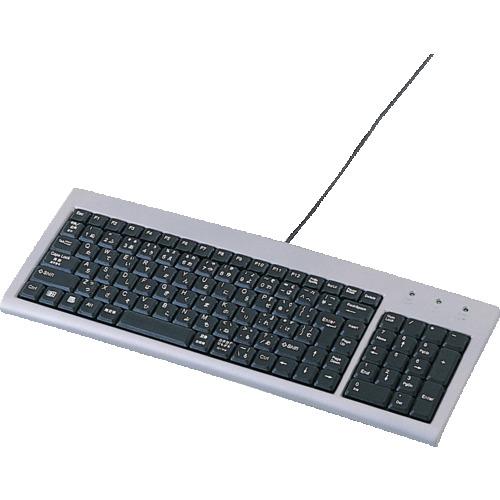 サンワサプライ SANWA SUPPLY キーボード [USB /コード ] SKB-SL02U