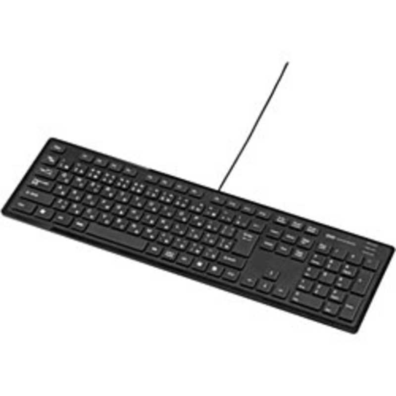 サンワサプライ SANWA SUPPLY スリムキーボード ブラック SKB-SL16BK