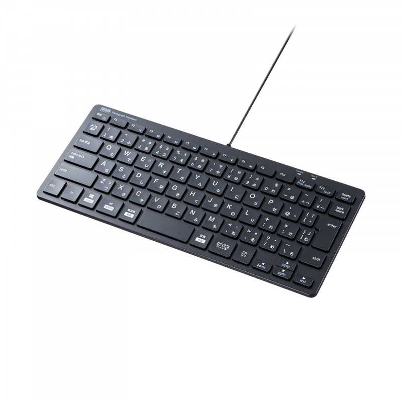 サンワサプライ SANWA SUPPLY USBスリムキーボード SKB-SL36BK