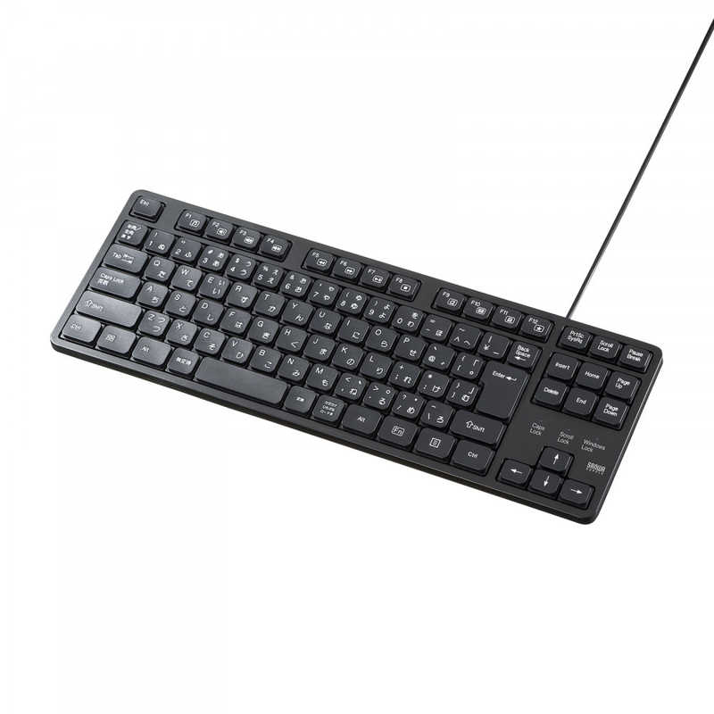 サンワサプライ SANWA SUPPLY 静音キーボード(有線・テンキーなし) SKB-SL38BK