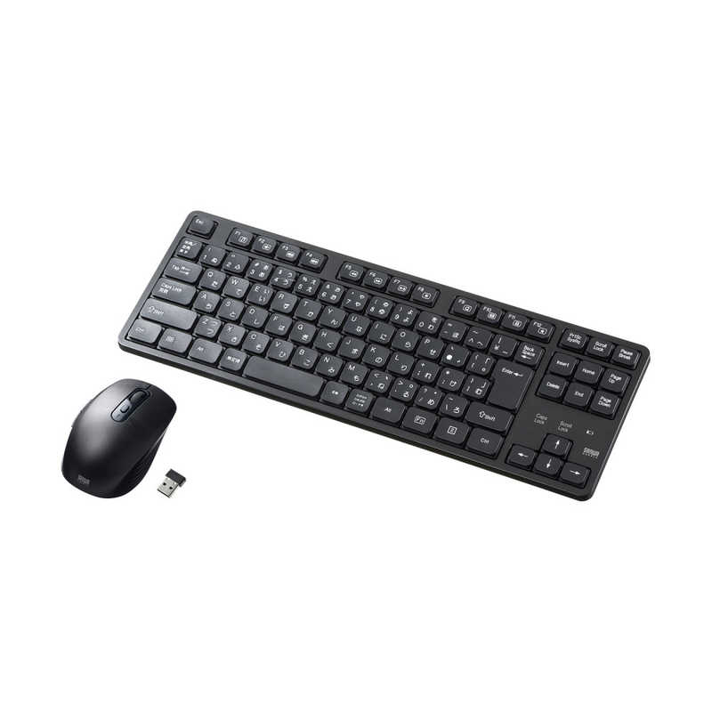 サンワサプライ SANWA SUPPLY ワイヤレス静音キーボードマウスセット（テンキーなし） SKB-WL38SETBK