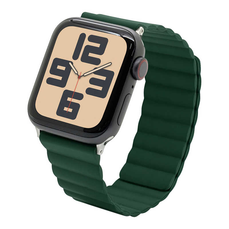 ラスタバナナ RastaBanana Apple Watch 4-10/SE1-2 38/40/41/42(10のみ)mm用マグネットシリコンバンド グリーン RBLAWM4007GR
