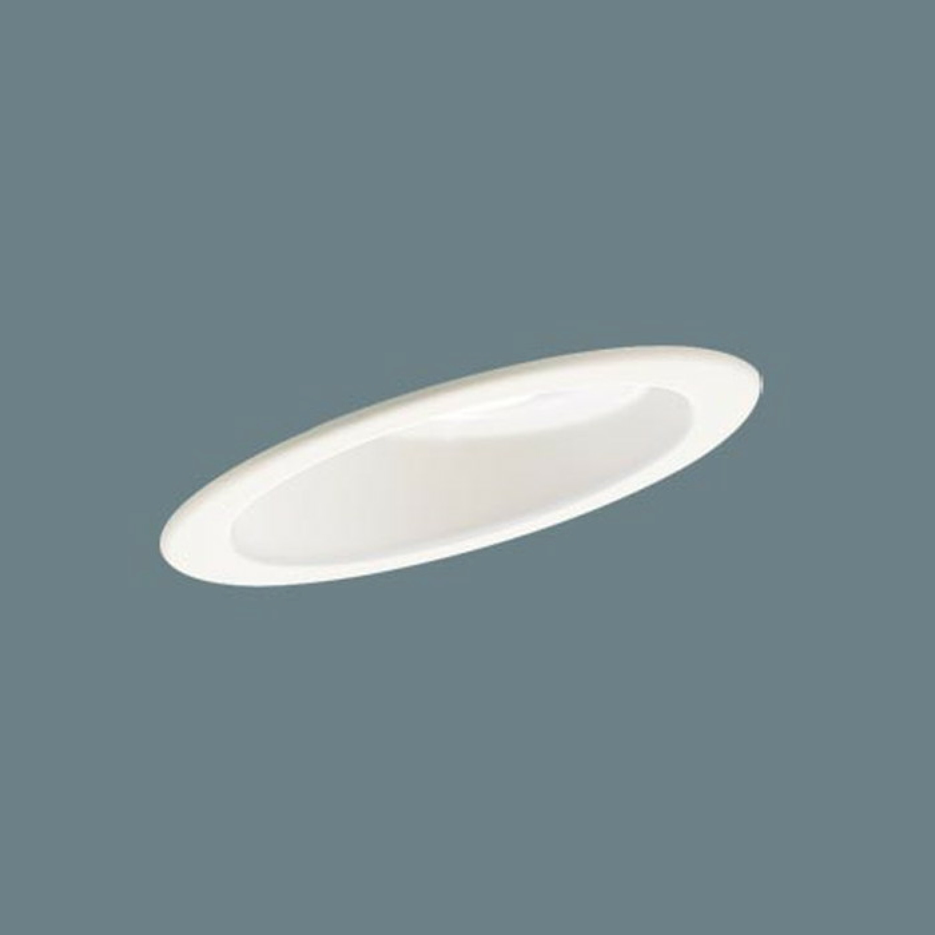 パナソニック Panasonic 天井埋込型 LED 傾斜天井用ダウンライト 浅型8H・高気密SB形 φ100 本体のみ ホワイト LGD9404