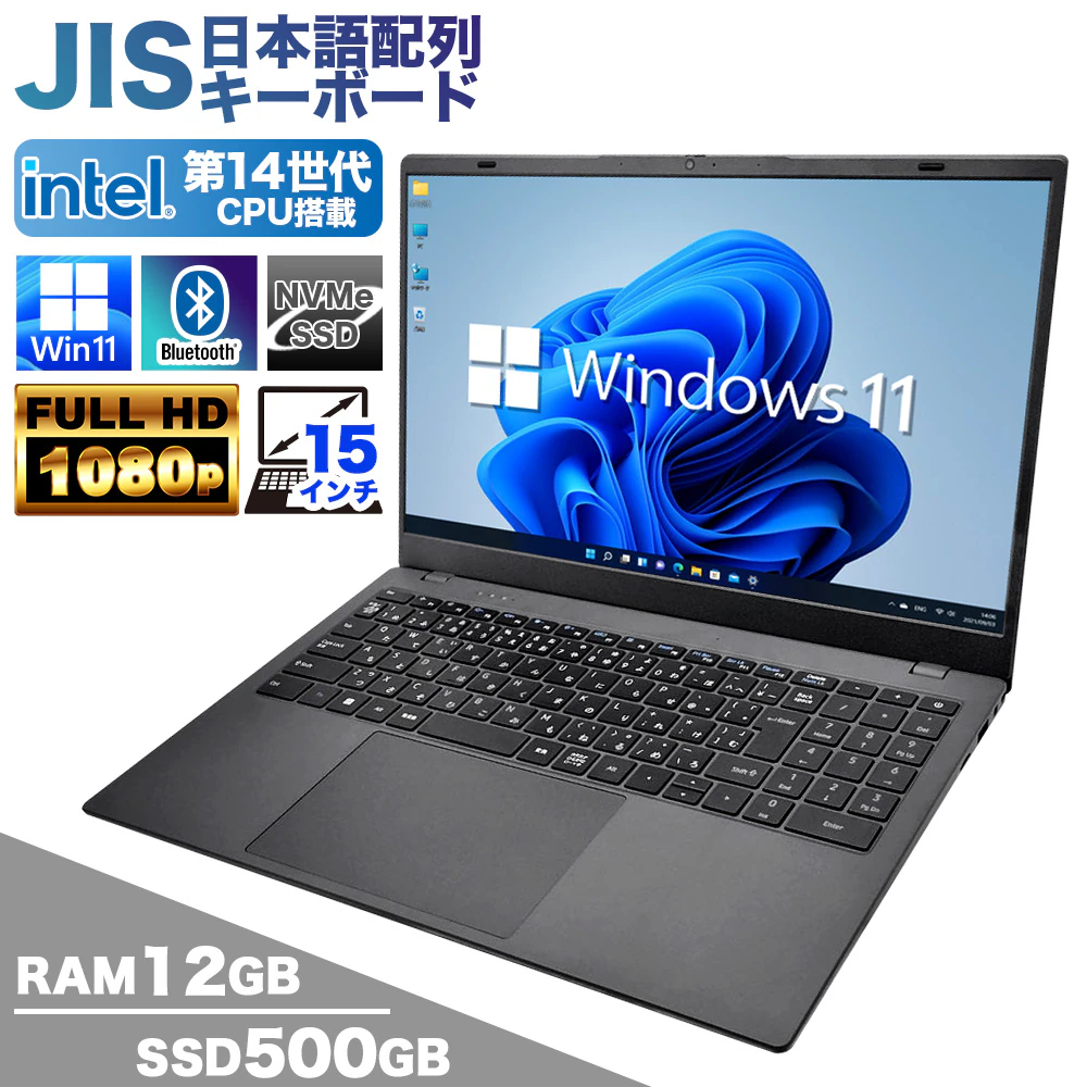 パソウル PASOUL  ノートパソコン 15.6型 第14世代 Intel TwinLake N150 DCJ1015N150