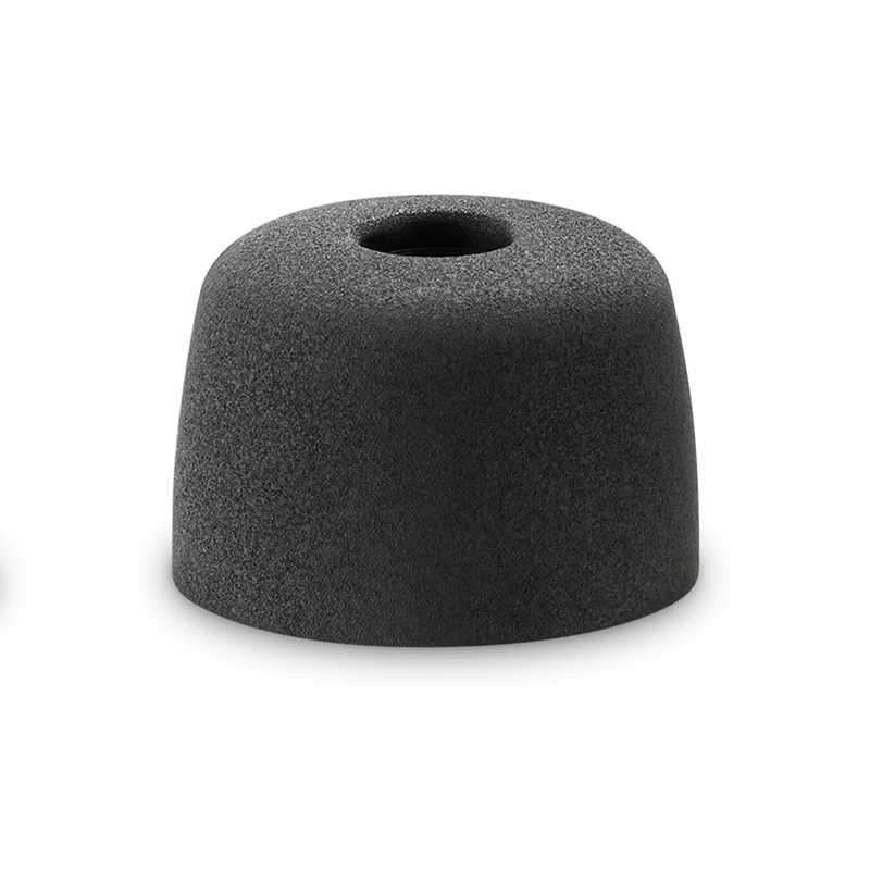 SONY ノイズアイソレーションイヤーピース(Lサイズ) EP-NI1010L