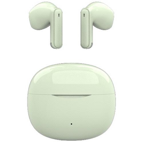 ナガオカ インイヤー型ワイヤレスイヤホン パステルグリーン MSB01PGN