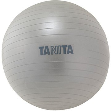 タニタ TANITA タニタサイズ ジムボール シルバー TS-962