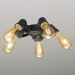 オーデリック シーリングファン専用灯具 LED WF835LC