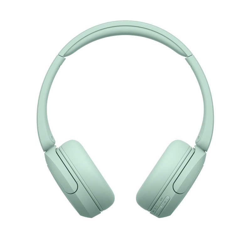 ソニー SONY ワイヤレスヘッドホン Bluetooth 最大55時間再生 ミント WH-CH530 GZ