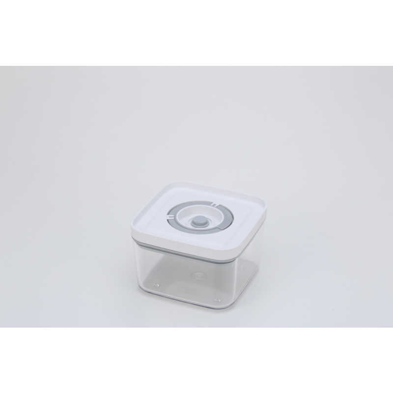 シーシーピー CCP ハンディ真空パック器 SelaSave（セラセーブ）用 真空保存コンテナ Sサイズ 550ml EX-4075-00