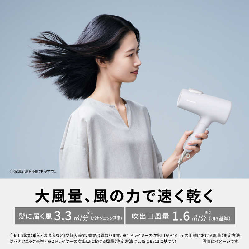 デンキチWeb / パナソニック Panasonic ヘアードライヤー イオニティ