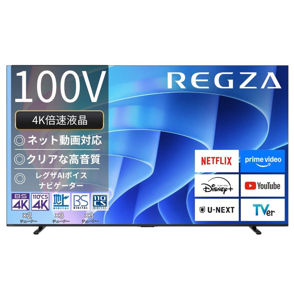 レグザ REGZA 4K液晶テレビ 100V型 倍速対応 100E670R (大型)