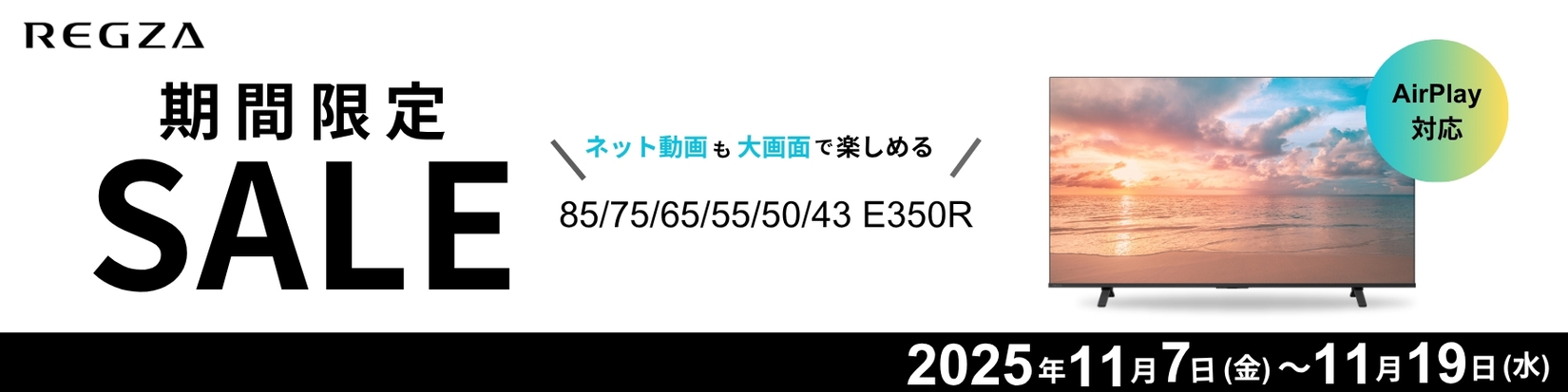 レグザ REGZA 4K液晶テレビ 85V型 85E350R(大型)