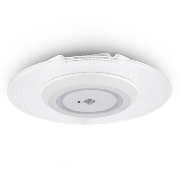 アイリスオーヤマ IRISOHYAMA LED小型シーリングライト 昼光色 SCL100D-MS-PK