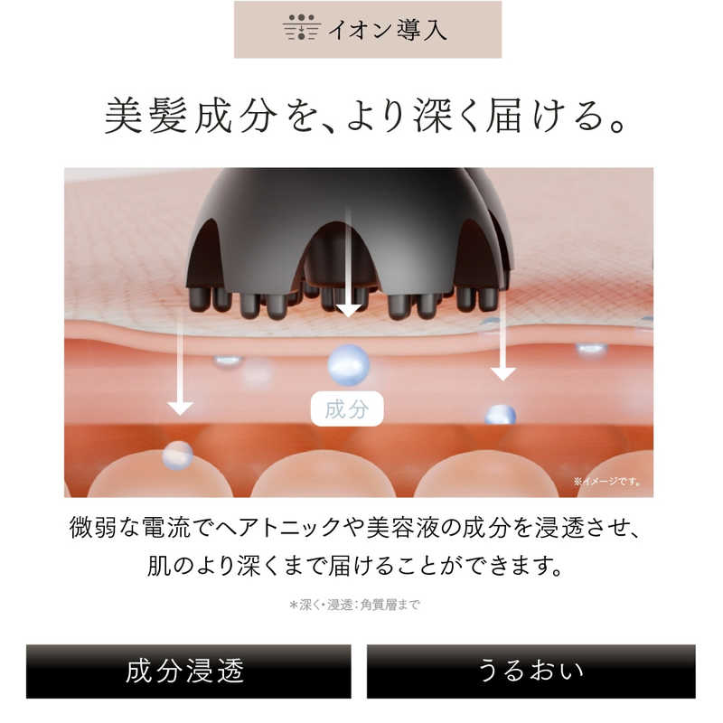 デンキチWeb / マイトレックス MYTREX イオン電気針ヘッドスパ HEAD