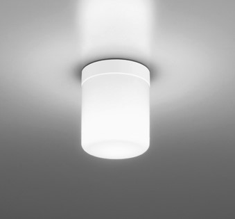 オーデリック ODELIC オーデリック 浴室灯 白熱灯器具60W相当 昼白色 防雨型 OW269051NR