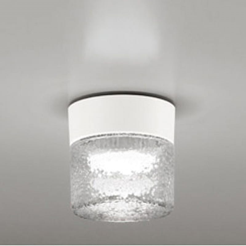 オーデリック ODELIC オーデリック エクステリア LEDバスルームライト 白熱灯60W相当 非調光 防雨防湿型 オフホワイト 昼白色:OG264046NR