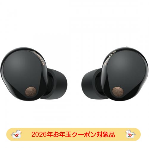 【2026年お年玉クーポン対象品】ソニー SONY ノイズキャンセリング ワイヤレスイヤホン Bluetooth ハイレゾ対応 マルチポイント接続対応 ブラック WF-1000XM5 BC