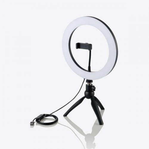 楽天市場】P10倍×25日限定全品10％OFF！【最強配送】LED
