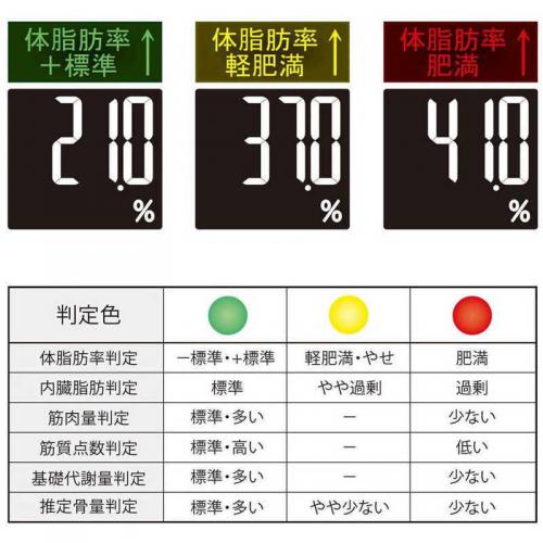 タニタ 体組成計 RD-504-SV