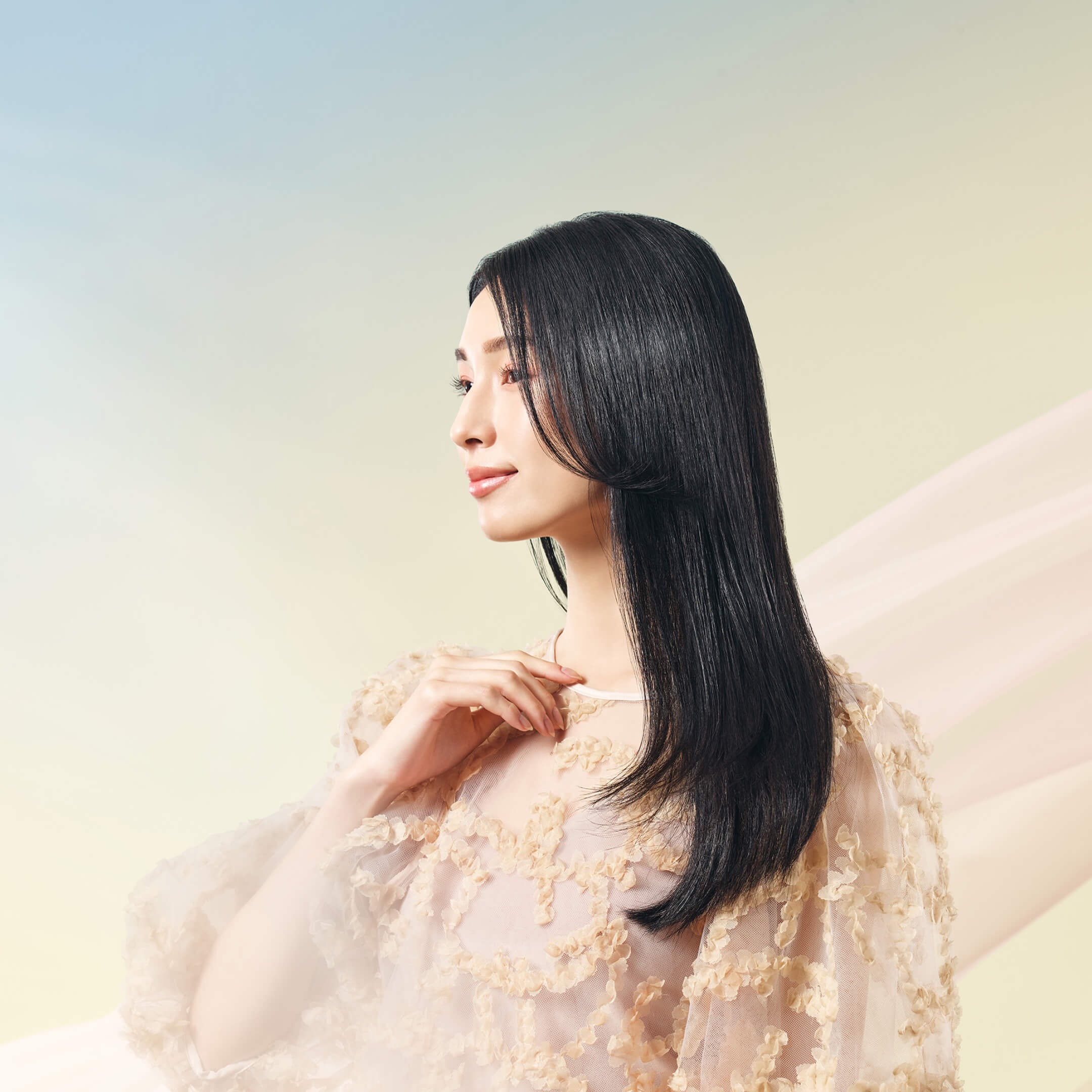 KINUJO シルクプレート