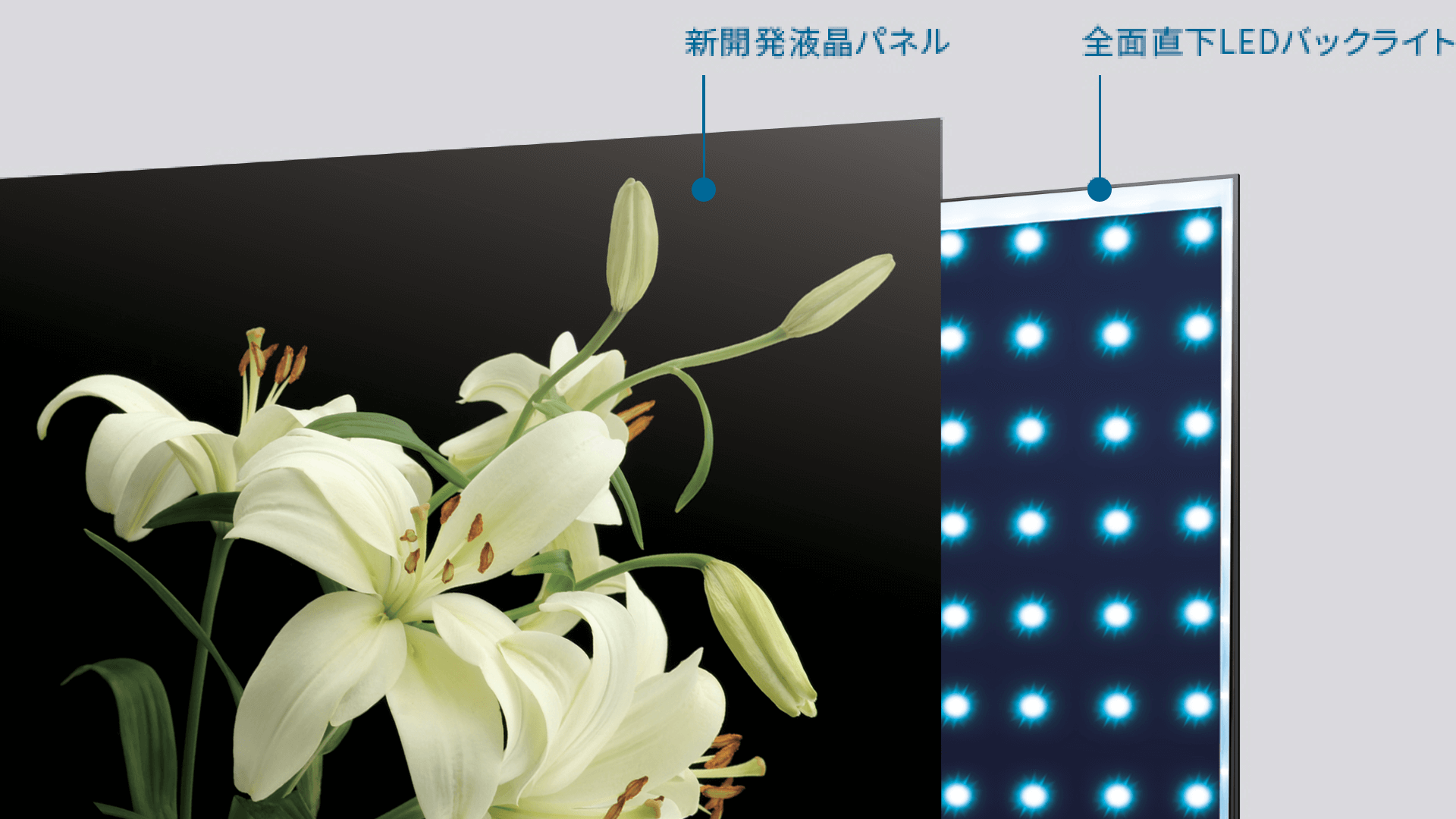 全面直下型LEDパネルモジュール