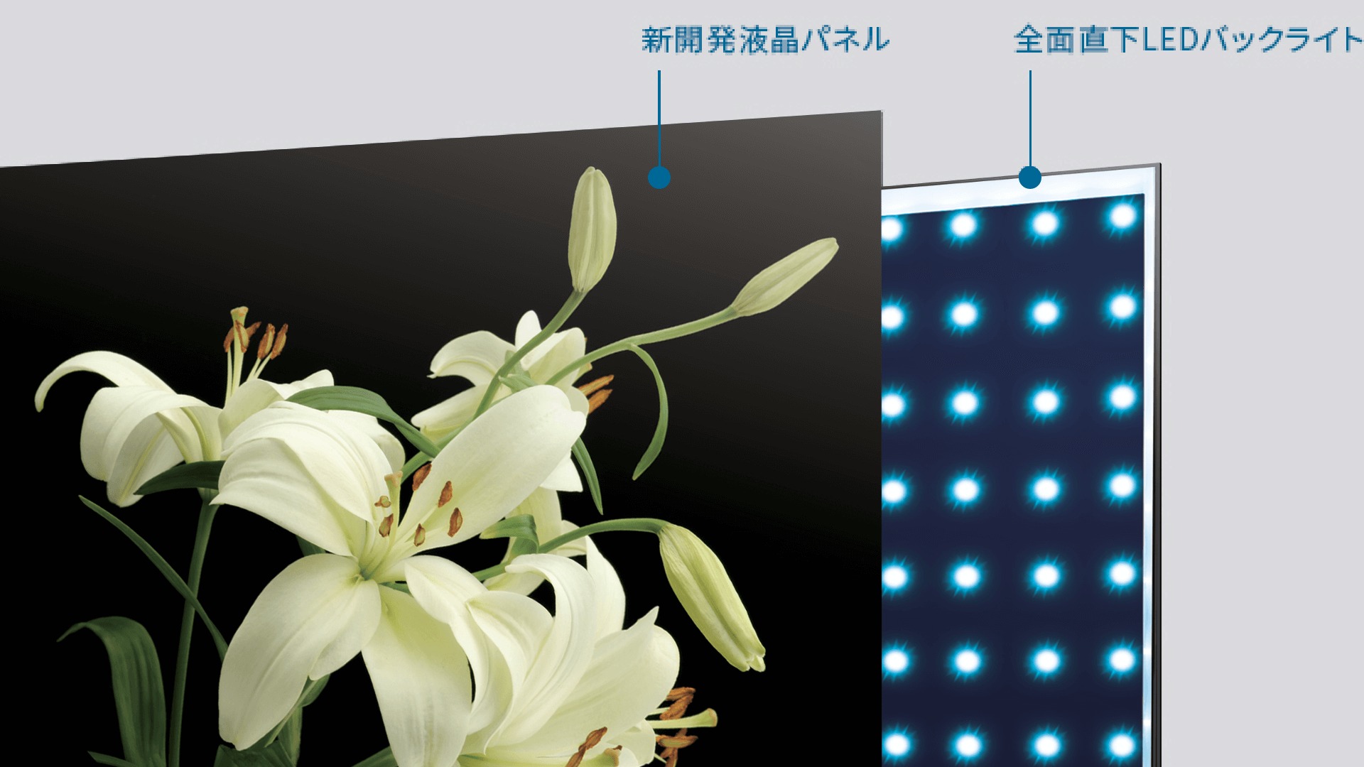 全面直下型LED & 120Hz倍速駆動
