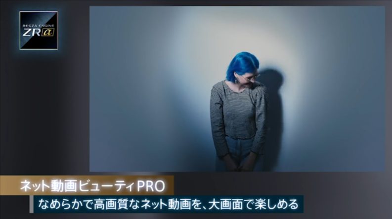 ネット動画ビューティ